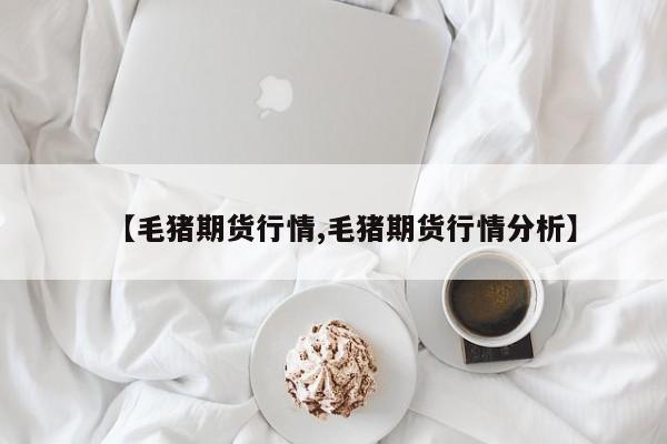 【毛猪期货行情,毛猪期货行情分析】