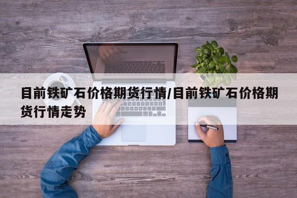 目前铁矿石价格期货行情/目前铁矿石价格期货行情走势