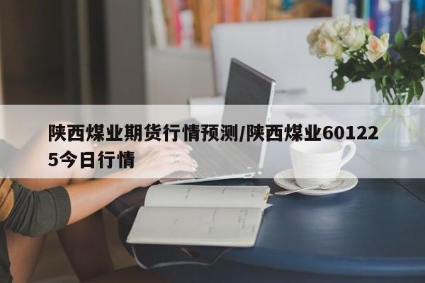 陕西煤业期货行情预测/陕西煤业601225今日行情