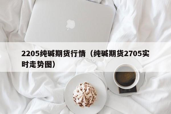 2205纯碱期货行情(纯碱期货2705实时走势图)